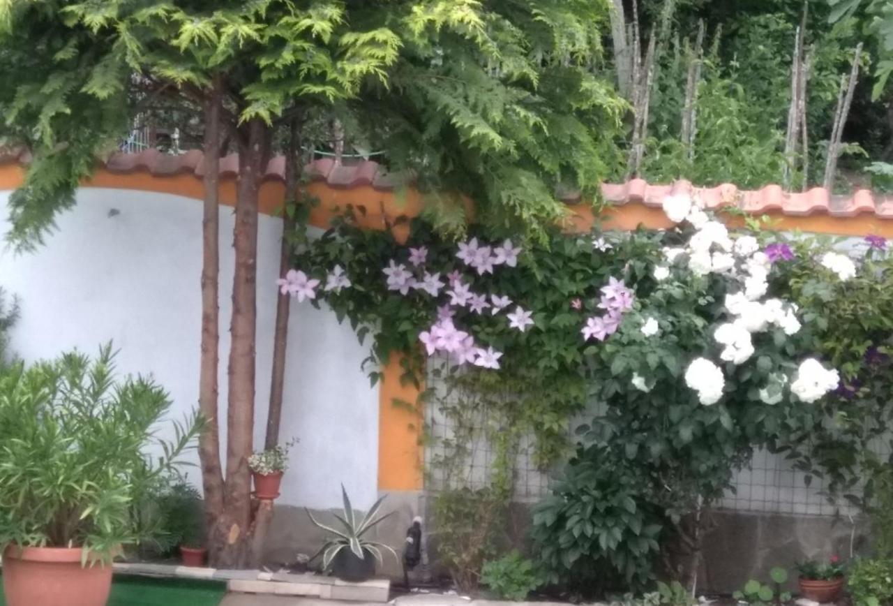 Vila Rosen Lozenets Exterior foto